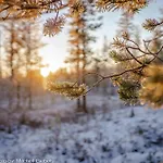 Experience Accommadation Eco-unela Rovaniemi