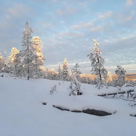 Experience Accommadation Eco-unela * Rovaniemi