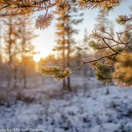 Experience Accommadation Eco-unela 罗瓦涅米