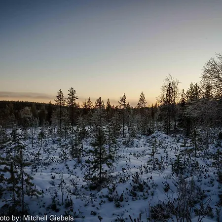 Experience Accommadation Eco-unela روفانييمي