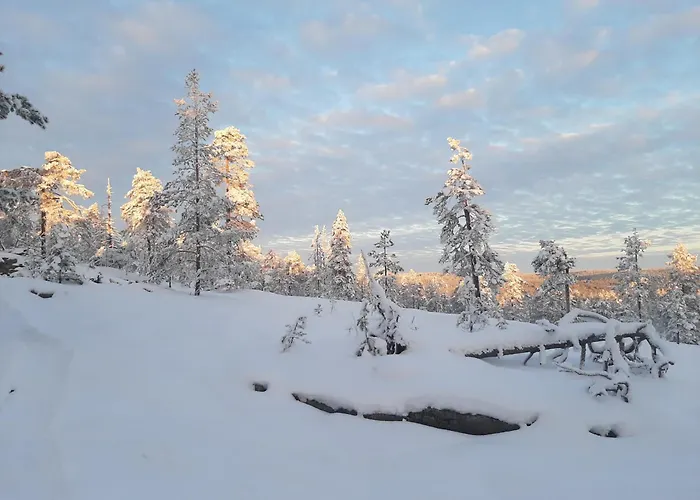 Experience Accommadation Eco-unela * ロヴァニエミ