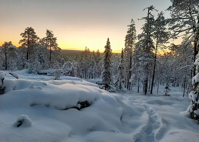 Experience Accommadation Eco-unela * ロヴァニエミ