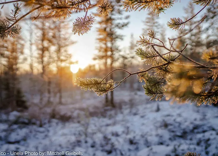 Experience Accommadation Eco-unela ロヴァニエミ
