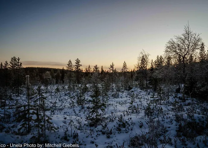 Experience Accommadation Eco-unela ロヴァニエミ